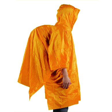 AceCamp ��������� �������������