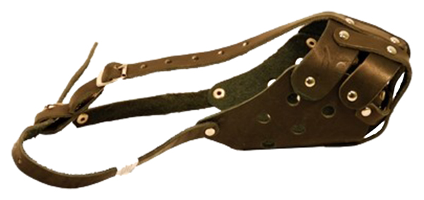 ���������������� ���� �3 ���������� ��������� ��� ����� ���������������� �