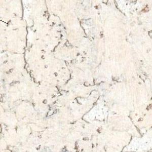��������� ������ Corksribas decork Condor Snow, 1 �.��.