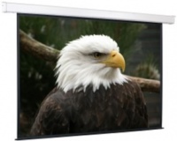 ������������ ����� ScreenMedia Champion 4:3 [Champion 406x305]