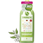 Synergetic ������� ���, 1 �