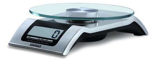 ���� SOEHNLE 65105 Style