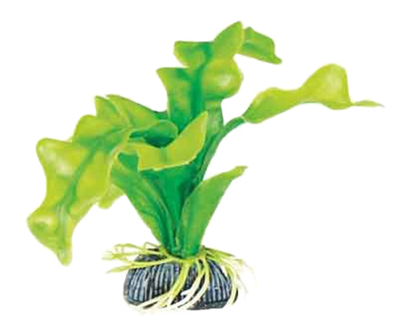 Laguna ���������� 13 �� ������������� �������� ��� ��������� Laguna ������