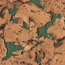 ��������� ������ Corksribas decork Condor Green, 1 �.��.