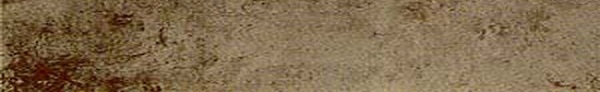 Ceracasa Evolution Titanio 7,6x49,1��