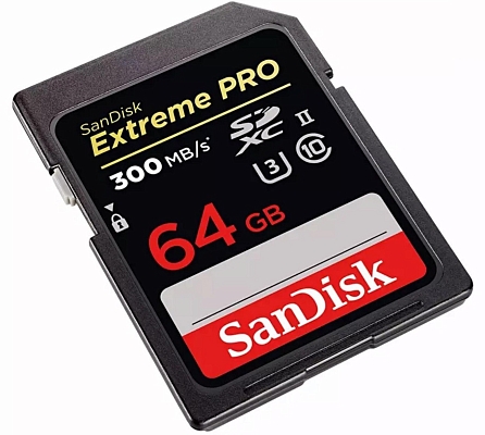 ����� ������ SanDisk Extreme Pro 2000x SDXC UHS-II [Extreme Pro 2000x SDXC UHS-II 64Gb]