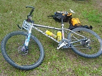 Schwalbe Black Jack K-Guard [24x2.1]