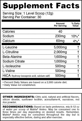Syntrax Matrix BCAA Amino Blend [370 g]