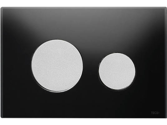 ������ ����� TECEloop �� ������� ������ (���� ���.)