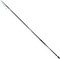 Salmo Elite Tele Carp 3232-360