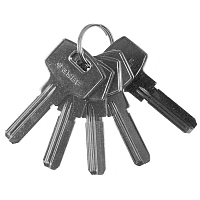 ��������� ����� ���� "�������" ��� ����������� ����������, ������������ ��