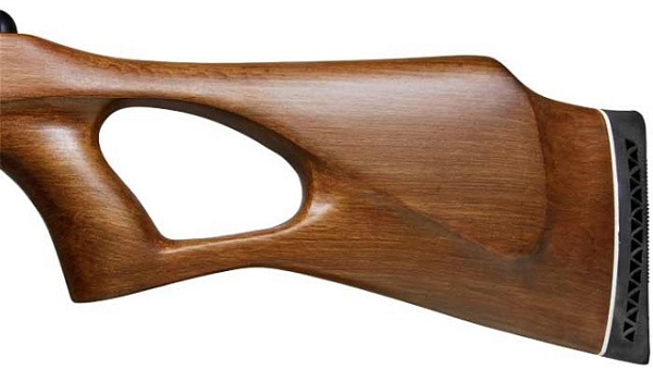 Crosman Benjamin Titan NP