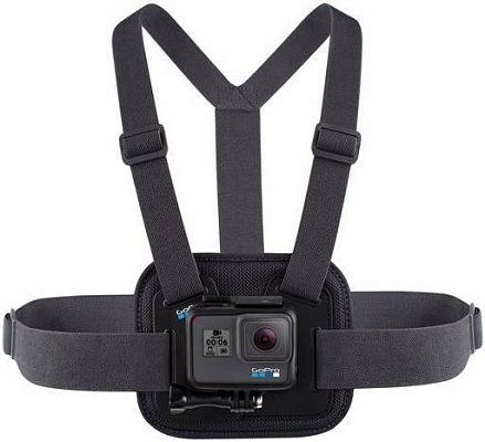 GoPro AGCHM-001 (������)