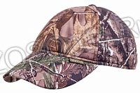 ��������� ���������� ����� / ����� / ���