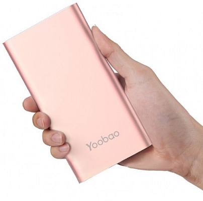 Powerbank ����������� Yoobao Dual Inputs PL-10