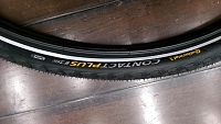 Continental Contact Plus [24x1.75]