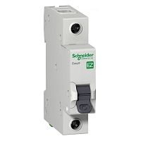 ����������� �������������� Schneider Electric Easy 9 (EZ9F34132) 32A ��� C