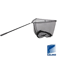 �������� ��� ����� ���� �������� � � �� Salmo 280 100 100