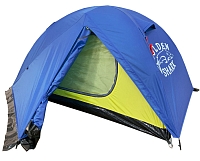 Golden Shark Night 2