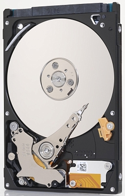 ������� ���� Seagate Momentus Thin 2.5" [ST500LM021]