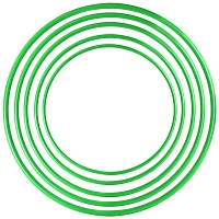 ����� ����������� 80 �� Sportex ����� 10015130