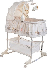 �������� Pituso Camellia