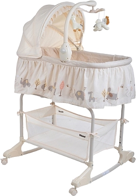 �������� Pituso Camellia