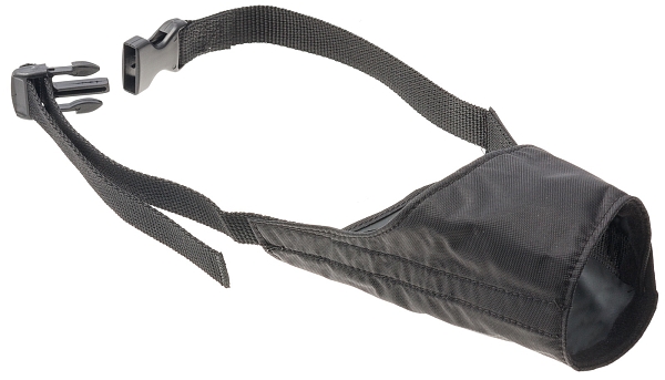 ���� �5 ��������� ��� ����� ���� �5, ������ �������� �������, 31 ��