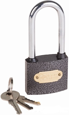 ����� �������� ������ ������, ����� "�����", 50 �� ������� ����� {79-0025}