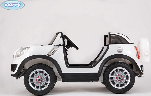 ������� ������������� Barty Mini Beachcomber