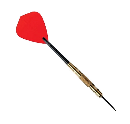 ������� Nodor Brass NR-4003 steeltip 22gr (��������� �������)