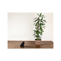 ������ ��� Wonderful Vinyl Floor Natural Relief DE1605-19 ���� �����������