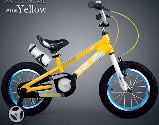 ������� ��������� Royal Baby Freestyle Space 1 Alloy 16