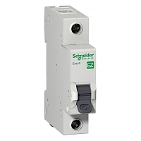 ����������� �������������� Schneider Electric Easy 9 (EZ9F34106) 6A ��� C
