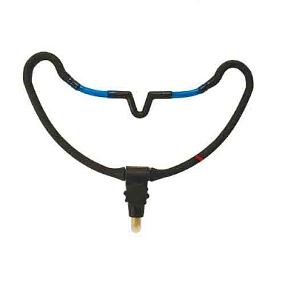 ��������� ��� ������ Salmo ����������� � ������� � ����������