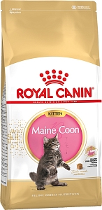 Royal Canin Maine Coon Kitten 10 kg