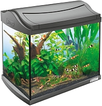 Tetra AquaArt LED Goldfish [20]