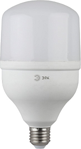 ERA POWER T100 30W 6500K E27