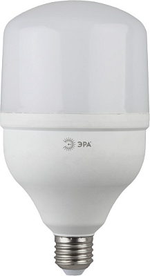 ERA POWER T100 30W 6500K E27