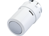 ���������. �������� RAX �����/����