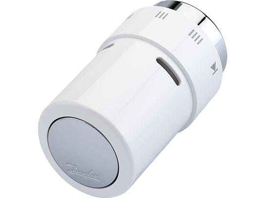 ���������. �������� RAX �����/����