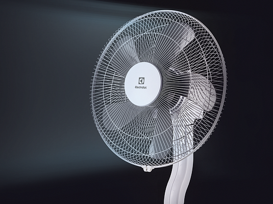 ���������� ��������� Electrolux EFF - 1003D