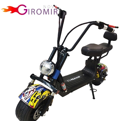 ������������� MINIPRO C3 800W 16Ah 48V (����-���������)