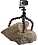 ������ Joby GorillaPod Action