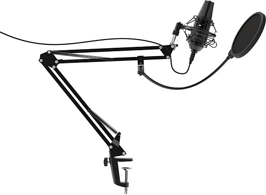 Ritmix RDM-180