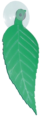 ����� ���� ��������� ���������� �� �������� ���� ��������� ���������� ���