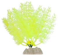 GLOFISH �������� �������������� ������ ������������� �������� ��� ��������