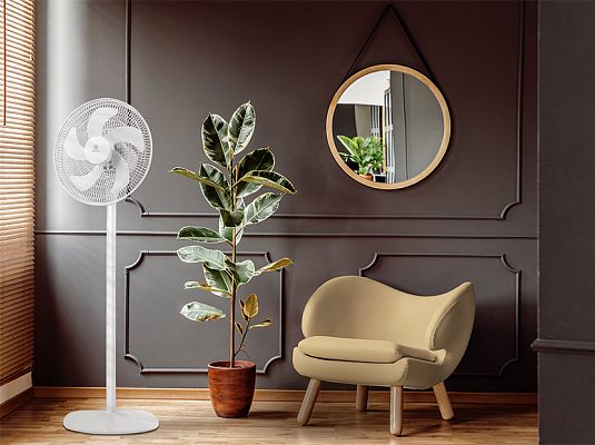 ���������� ��������� Electrolux EFF - 1005