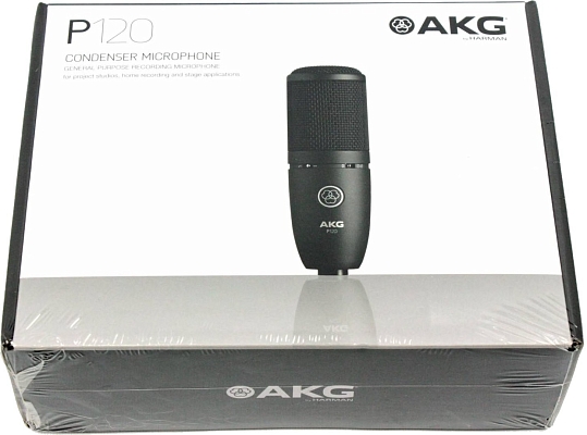 AKG P120