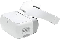 ���� ����������� ���������� DJI Goggles